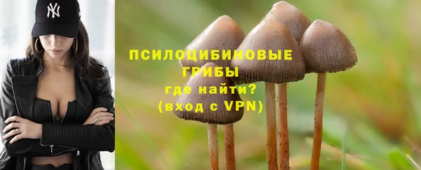 спиды Александровское