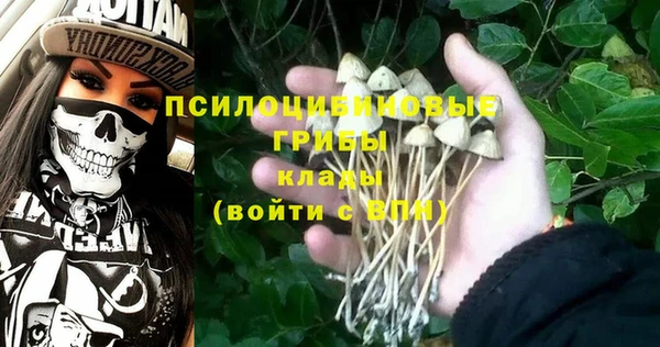 молекула духа Кодинск