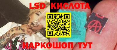 спайс Донской
