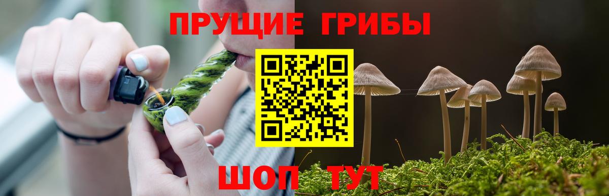 Псилоцибиновые грибы Magic Shrooms Челябинск