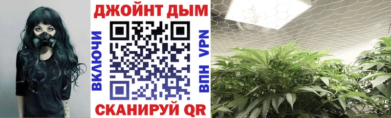 Марихуана план  продажа наркотиков  Челябинск 
